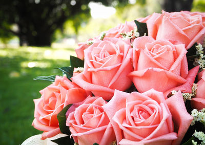 Close-up of rose bouquet