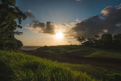 Scenic view of field against sky during sunset