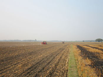 Scenic view of agricultural field against clear sky