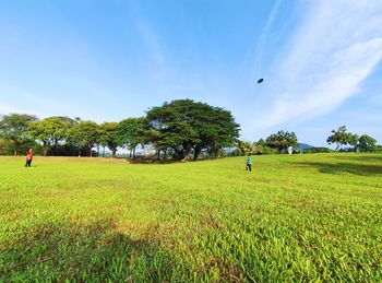 Trees on field against sky