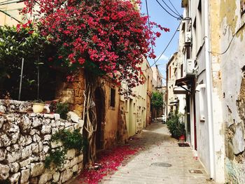 Narrow alley amidst buildings in city