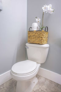 White flowers in vase against wall at home