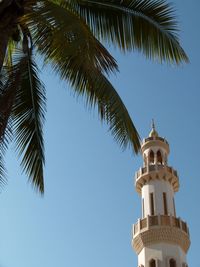 Low angle view of palm tree and building against sky