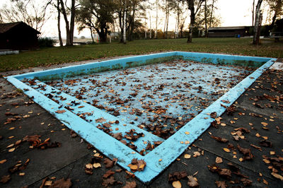 Close-up of water drops on the ground