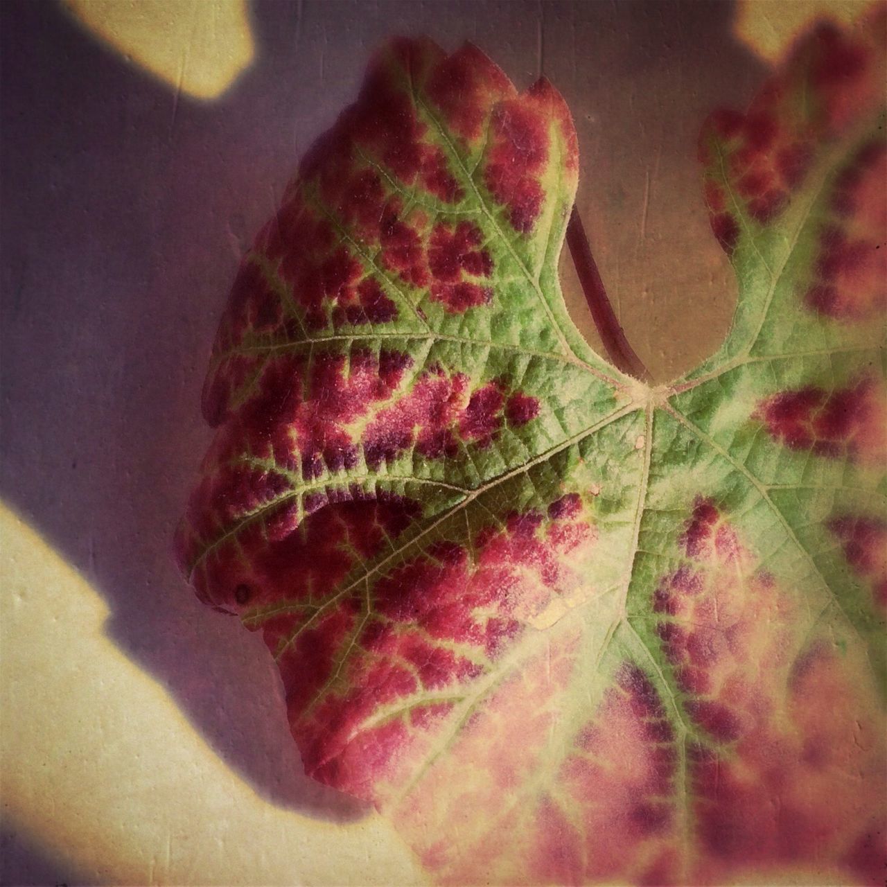 indoors, close-up, still life, high angle view, art and craft, selective focus, creativity, no people, multi colored, art, pattern, fabric, single object, home interior, textile, pink color, design, auto post production filter, floral pattern, fashion