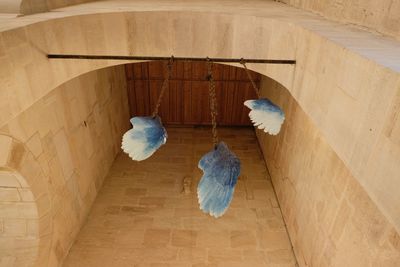 High angle view of bird on wooden wall