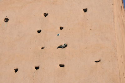 Full frame shot of wall