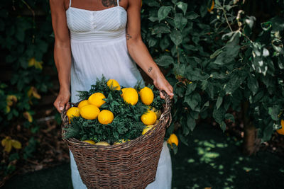 Midsection of woman holding fruits in basket