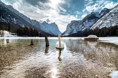 Scenic view of lake by snowcapped mountains against sky