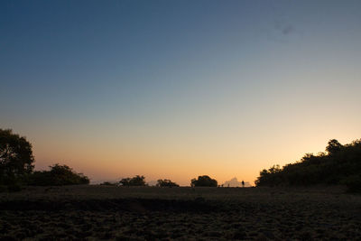 Silhouette trees on field against clear sky during sunset