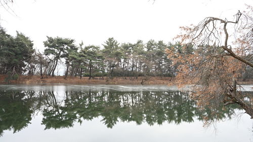 Scenic view of lake against clear sky