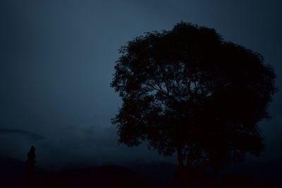 Low angle view of silhouette tree against sky at night