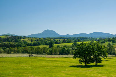 Scenic view of landscape against clear sky