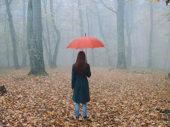 Rear view of woman standing in forest