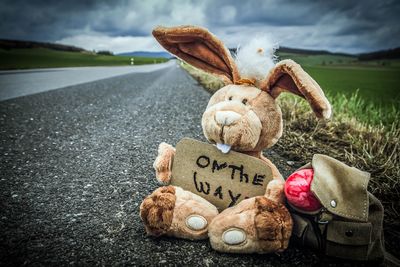 Toy rabbit with backpack on road