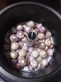 High angle view of food in container