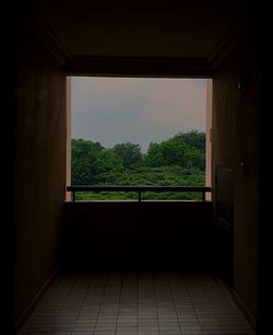 Trees seen through window of house