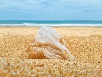 Close-up of a plastic bag  on beach 