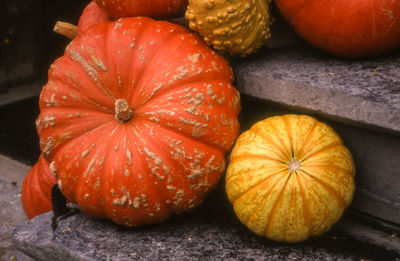 Close-up of pumpkins on steps