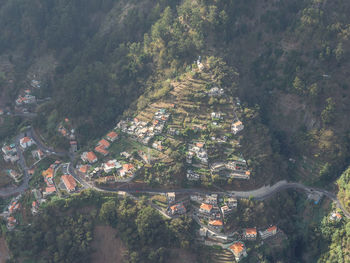 High angle view of illuminated trees by building