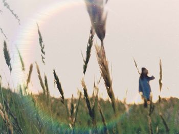 Rear view of woman standing on field against sky