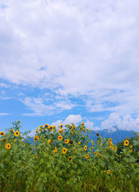 sky