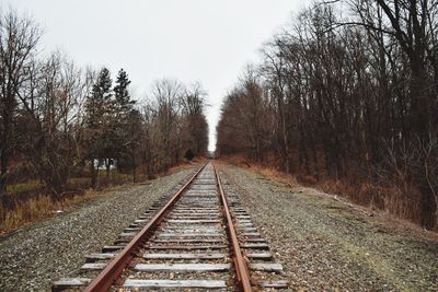 Railroad tracks in forest