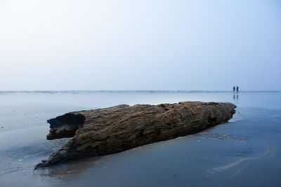 Rock on sea shore against clear sky