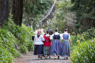 Rear view of people standing in the forest