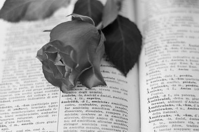 Close-up of paper papers