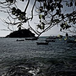 Boats in sea