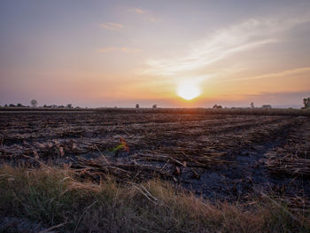 Scenic view of field against sky during sunset