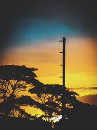 Low angle view of silhouette tree against orange sky