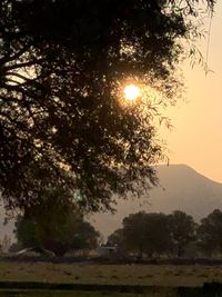 Silhouette trees on landscape against sky during sunset