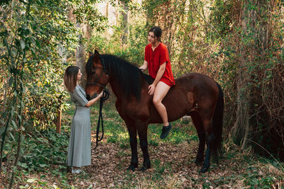 Horse and woman riding horses in forest