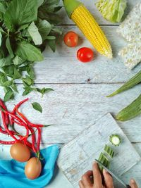 Cropped image of person cutting gourd on cutting board at home