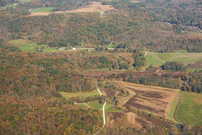 High angle view of trees in a field