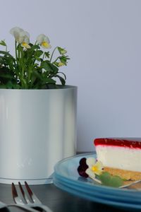 Close-up of cake in plate on table