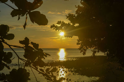 Silhouette tree by sea against sky during sunset