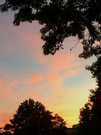 Silhouette trees against sky during sunset