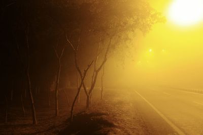 Road amidst trees against sky during sunset