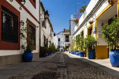 Surface level of alley amidst buildings in city