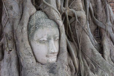 Close-up of statue