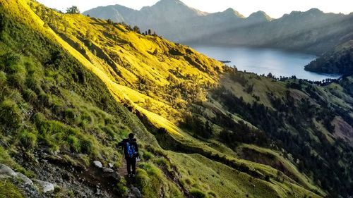 Rear view of man on mountain range