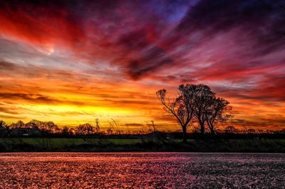 Scenic view of field against cloudy sky