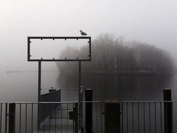 View of basketball hoop in foggy weather