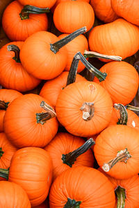 High angle view of pumpkins for sale at market stall