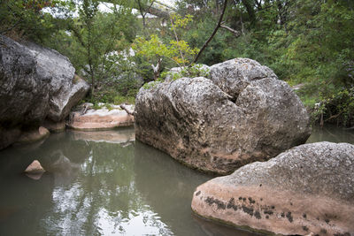 Scenic view of river amidst rocks in forest