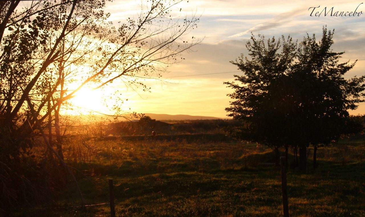 SUNSET OVER FIELD