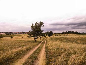 Scenic view of field against sky